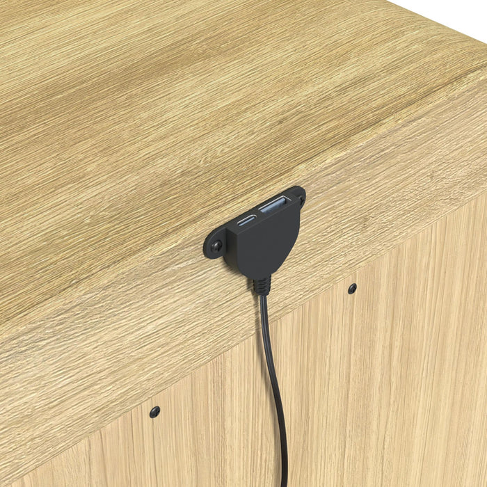 Ridgemont Storage Bedroom Set