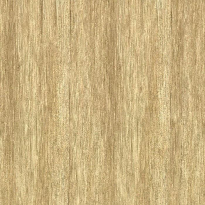 Ridgemont Server in Natural